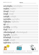 DSS_2S_Bu_ß_Nr_03.pdf